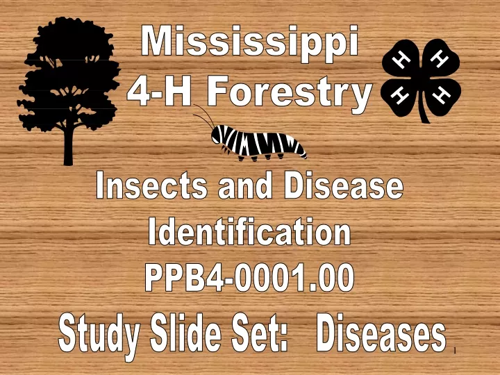 mississippi 4 h forestry