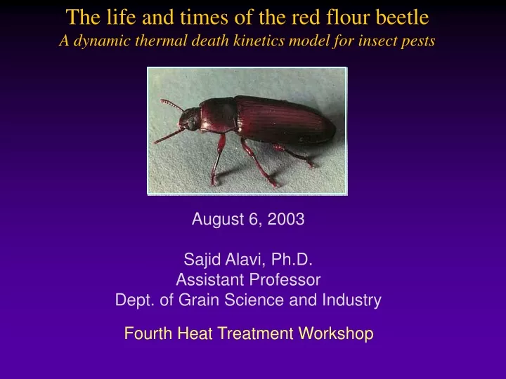 the life and times of the red flour beetle