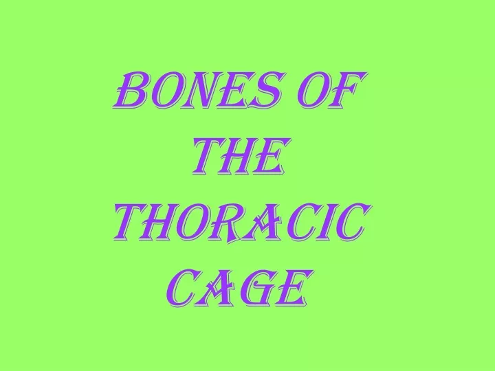 bones of the thoracic cage