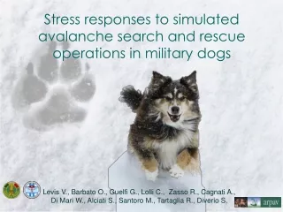 Stress responses to simulated avalanche search and rescue operations in military dogs