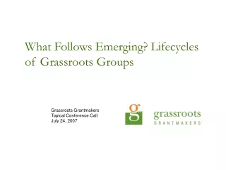 What Follows Emerging? Lifecycles of Grassroots Groups
