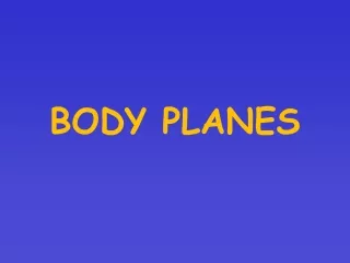 BODY PLANES