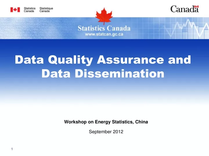 data quality assurance and data dissemination
