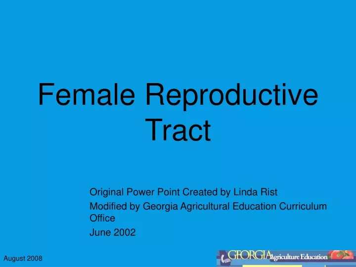 female reproductive tract