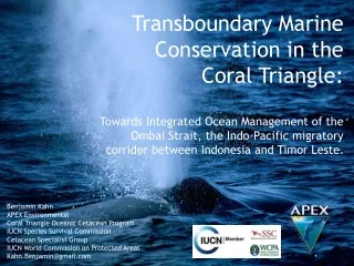 Benjamin Kahn APEX Environmental Coral Triangle Oceanic Cetacean Program
