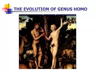 THE EVOLUTION OF GENUS HOMO