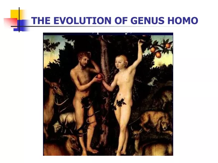 the evolution of genus homo