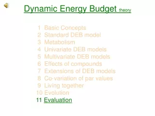 Dynamic Energy Budget  theory