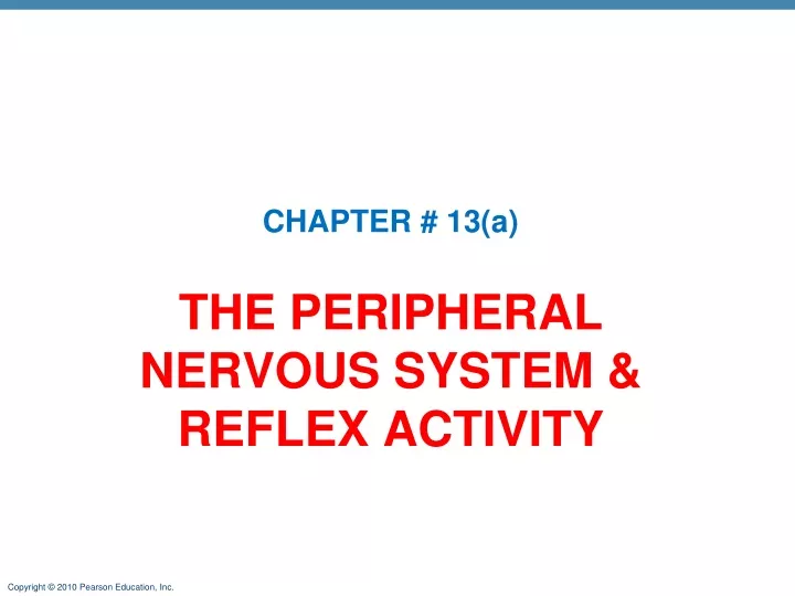 the peripheral nervous system reflex activity