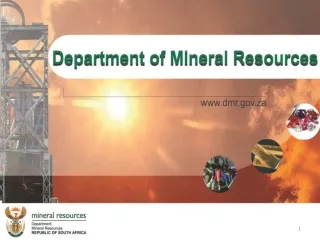 PRESENTATION TO THE PORTFOLIO COMMITTEE ON MINERAL RESOURCES: