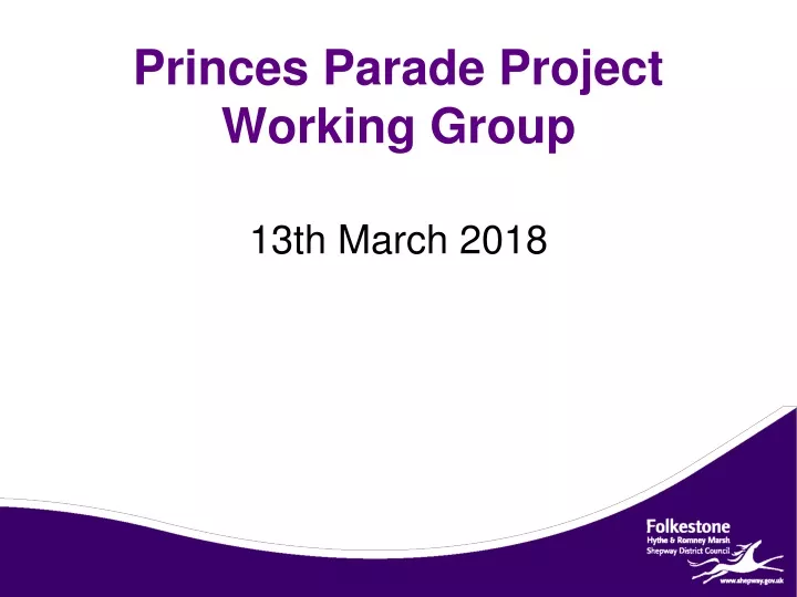 princes parade project working group