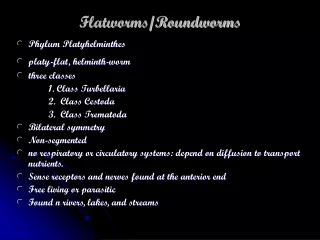 Flatworms/Roundworms