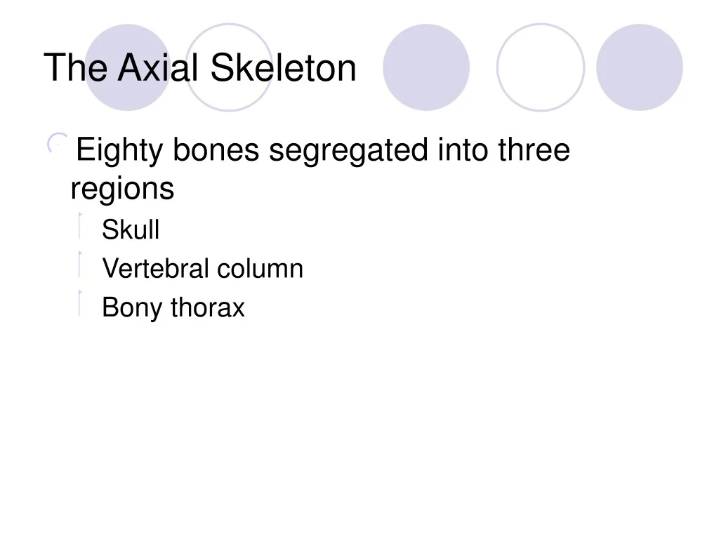 PPT - The Axial Skeleton PowerPoint Presentation, free download - ID ...
