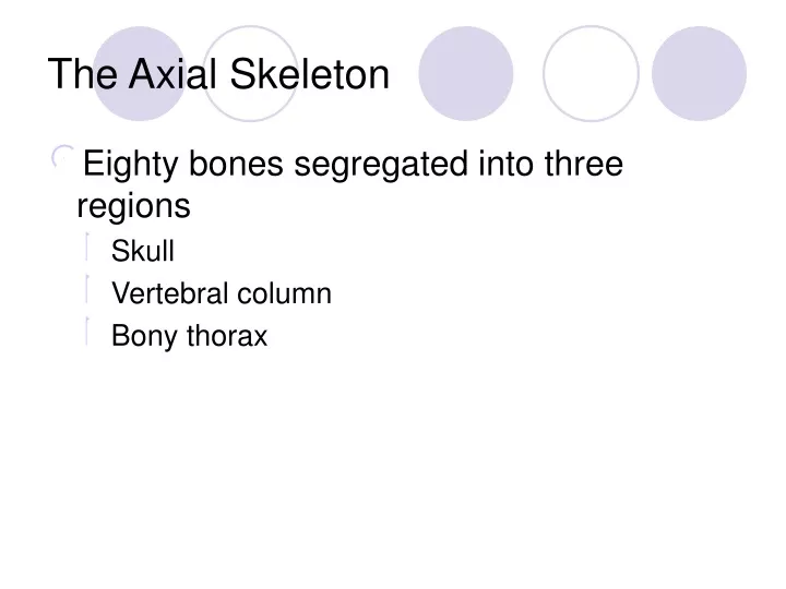 the axial skeleton