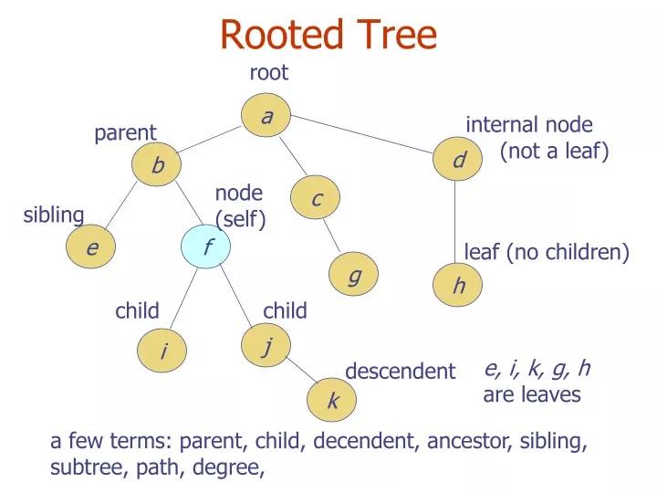 rooted tree
