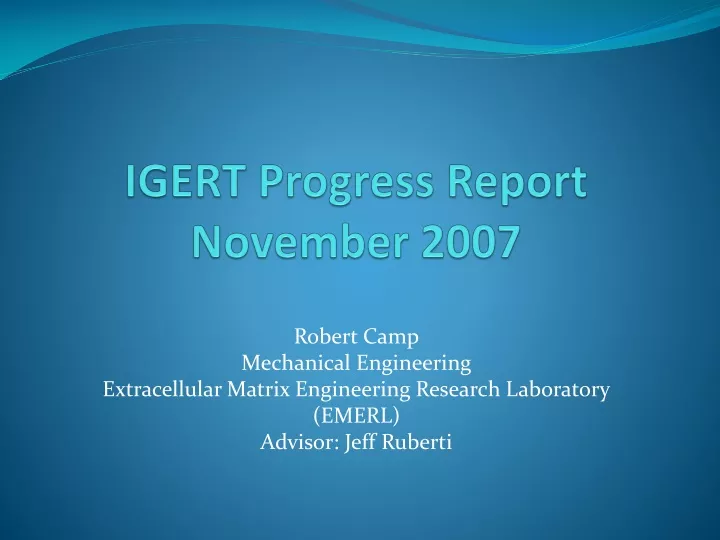 igert progress report november 2007