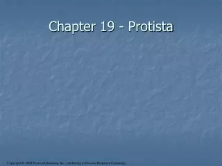 Chapter 19 - Protista