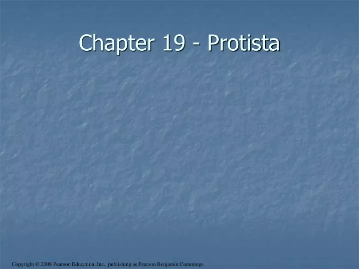 chapter 19 protista