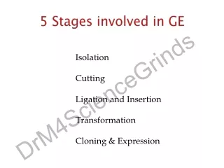5 Stages involved in GE
