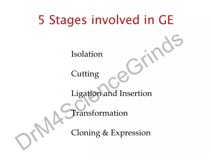 5 stages involved in ge