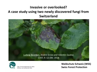 Invasive or overlooked?  A case study using two newly discovered fungi from Switzerland