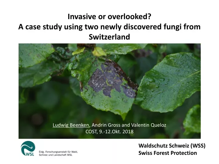 invasive or overlooked a case study using two newly discovered fungi from switzerland