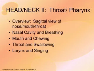 HEAD/NECK II:  Throat/ Pharynx