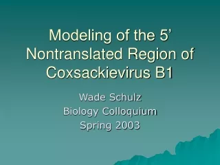 Modeling of the 5’ Nontranslated Region of Coxsackievirus B1