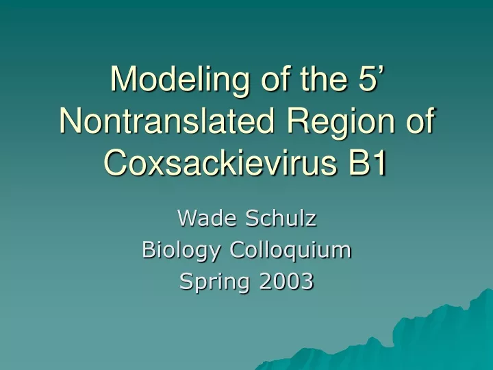 modeling of the 5 nontranslated region of coxsackievirus b1