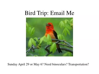 Bird Trip: Email Me