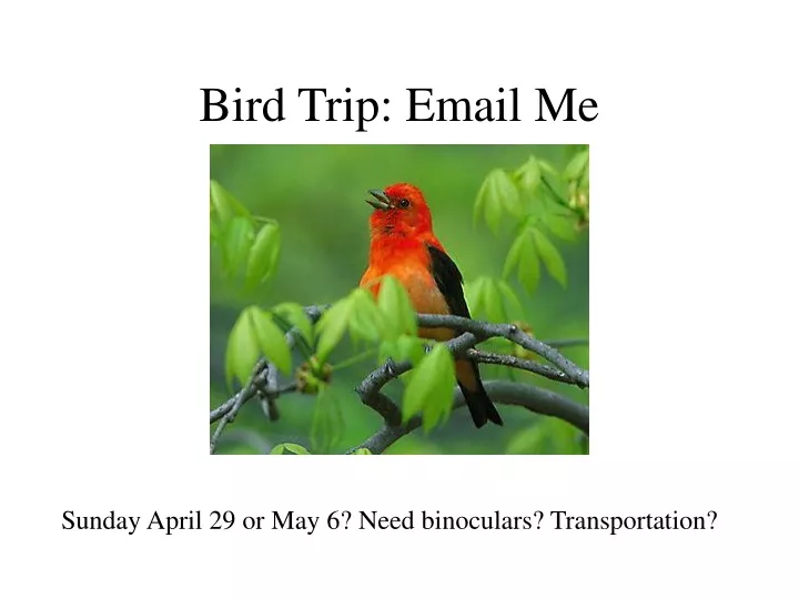 bird trip email me