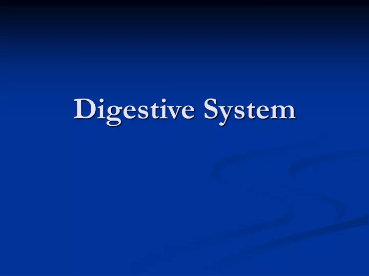 digestive system