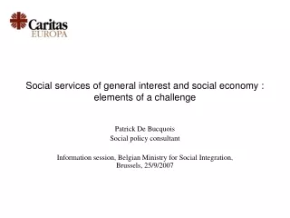 Social services of general interest and social economy : elements of a challenge
