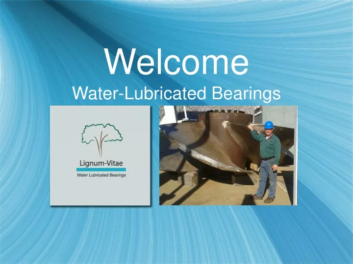 welcome water lubricated bearings