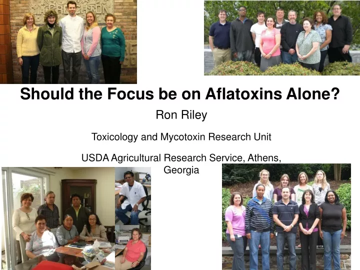 should the focus be on aflatoxins alone