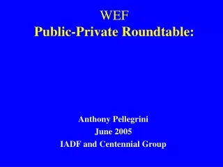 WEF  Public-Private Roundtable: