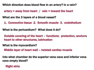 Which direction does blood flow in an artery? In a vein?