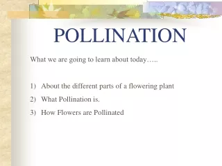 POLLINATION