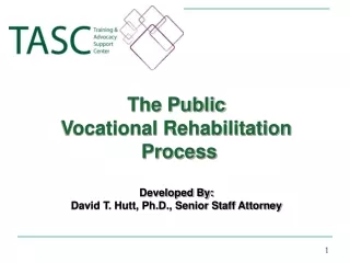 The Public  Vocational Rehabilitation  Process Developed By: