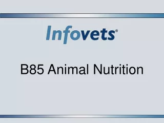 B85 Animal Nutrition
