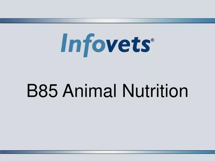 b85 animal nutrition