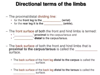 Directional terms of the limbs