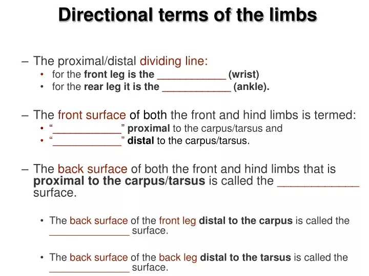 directional terms of the limbs