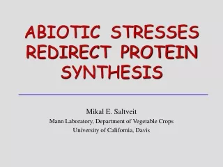 ABIOTIC  STRESSES REDIRECT  PROTEIN SYNTHESIS