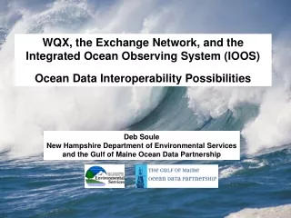 WQX, the Exchange Network, and the Integrated Ocean Observing System (IOOS)