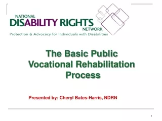 The Basic Public  Vocational Rehabilitation  Process