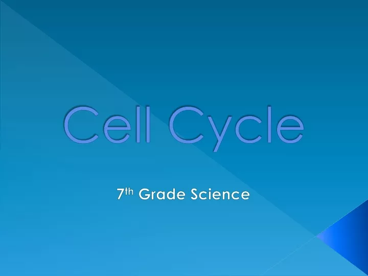 cell cycle