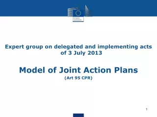 Expert group on delegated and implementing acts of 3 July 2013 Model of Joint Action Plans