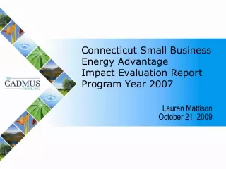 Connecticut Small Business Energy Advantage  Impact Evaluation Report Program Year 2007