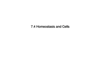 7 4 homeostasis and cells